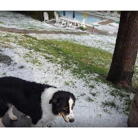 Limberghof מלון צל-אם-זי