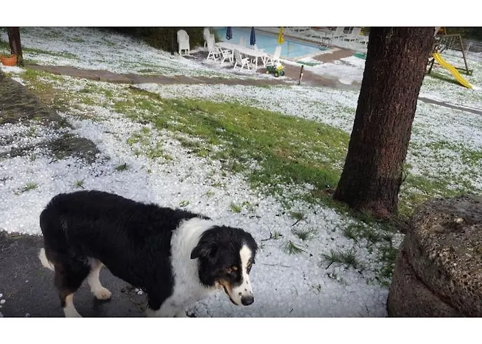 Limberghof فندق زيل أم سي